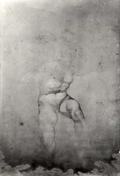 Nudo maschile
